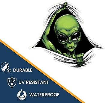 61QRIAU-X+L._AC_UF350,